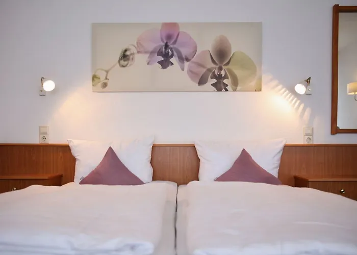 Lammerts 3* Horn-Bad Meinberg